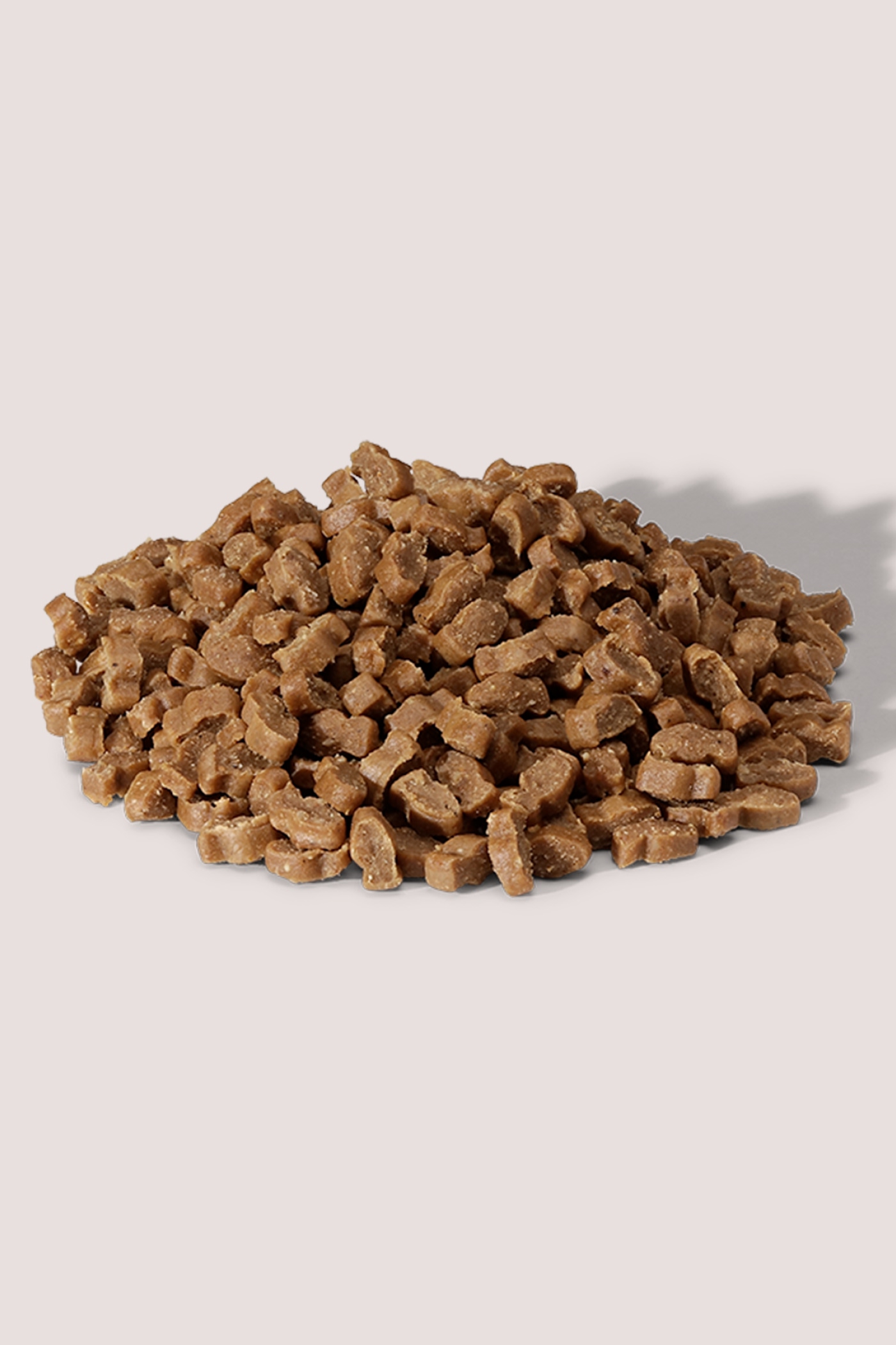 EVERYDAY MINI TRAINING BITES SALMON 500G